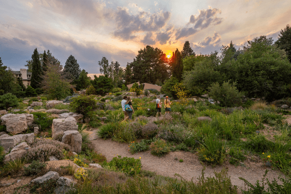 Evenings al Fresco at Denver Botanic Gardens