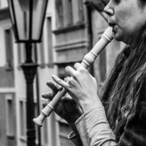 Accordion Player photo by Michael Oxendine on Unsplash