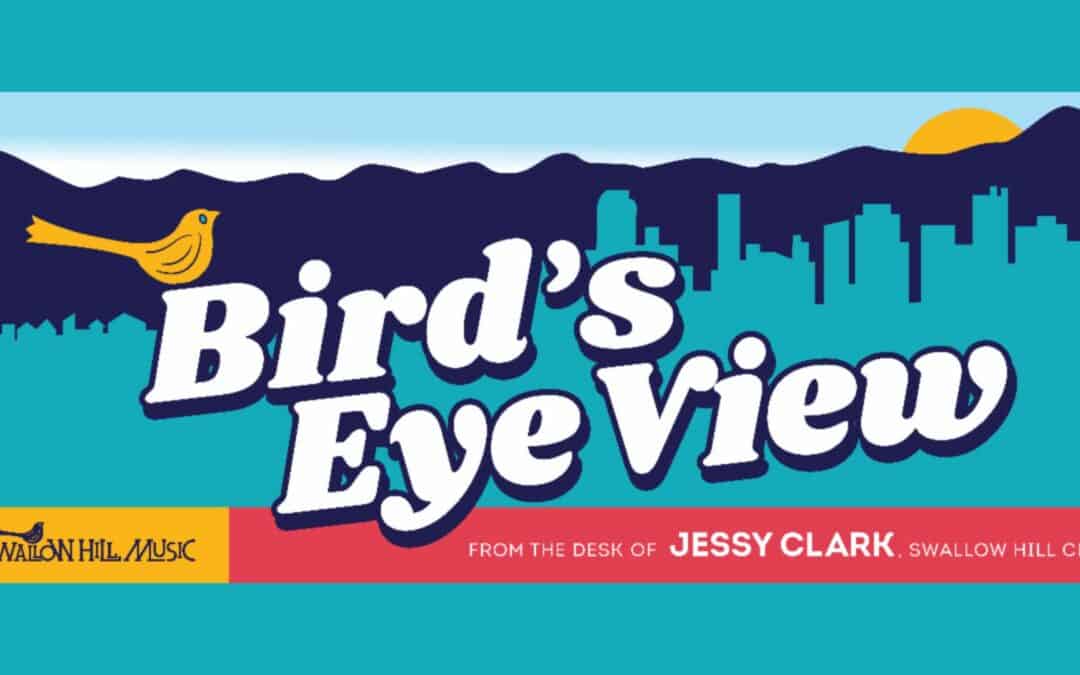 Introducing Bird’s Eye View: From the Desk of Jessy Clark, Swallow Hill CEO